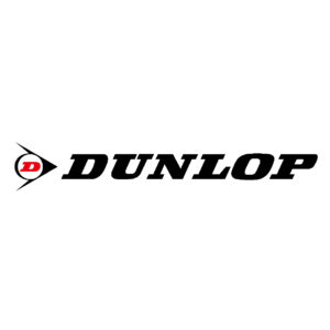 Llantas DUNLOP para moto